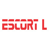 Emblema Adesivo Ford Escort
