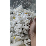 Enchimento Ideal Para Puff