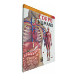 Enciclopédia Do Corpo Humano Com Super Poster, De Equipe Ial. Editora Pé Da Letra Em Português