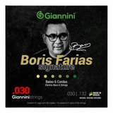 Encordoamento Baixo 6 Cordas Giannini Ssbnbf6 Boris Farias