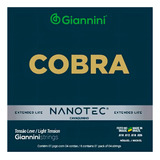Encordoamento Cavaco Giannini Nanotec