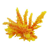 Enfeite Coral Esponja Finger