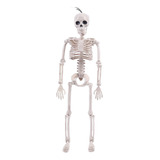 Enfeite Esqueleto 40cm Decoração Anatomia Articulado