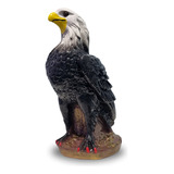 Enfeite Gaviao Espanta Pombo