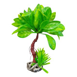 Enfeite Plantas Aquario Bonsai
