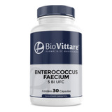 Enterococcus Faecium 5 Bilhoes