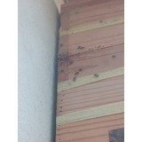 Enxame De Abelhas Bora