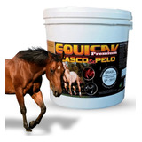 Equicav Casco E Pelo