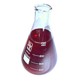 Erlenmeyer Boca Estreita Graduado