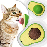 Erva Para Gatos Catnip