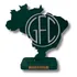 Escudo Guarani Fc Decoração Mapa Brasil Guarani Resina