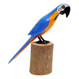 Escultura Passaro Fauna Brasileira