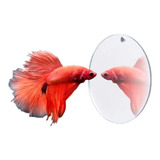 Espelho Para Peixe Beta
