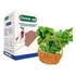 Espuma Fenólica Green up 2 5x2 5x3cm   Multisemente peletiza