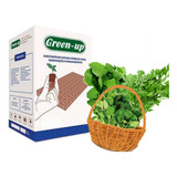 Espuma Fenolica Green up
