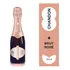 Espumante Brasileiro Rosé Brut Chandon Baby Chardonnay Serra Gaúcha Garrafa 187ml