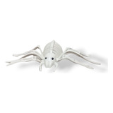 Esqueleto Animal Aranha Halloween
