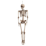 Esqueleto Corpo Humano 40 Cm Medicina Enfermagem Anatomia