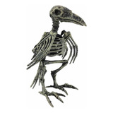 Esqueleto De Animal Ossos