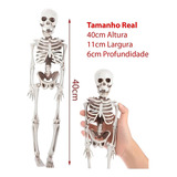 Esqueleto Humano Articulado Anatomia
