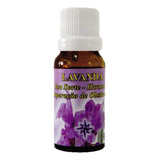 Essencia Lavanda