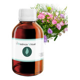 Essencia Aromatica Alfazema Pheb