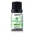 Essência Líquida Aromática Vila Zen Aroma Menta 10ml