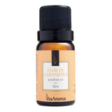 Essencia Para Aromatizador Eletrico