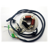 Estator Completo Dt 200