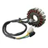 Estator Completo Intruder E Yes 125 / Sundown Stx 200