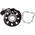 Estator Completo+ Junta/ Sundouwn/ Max 125/ Hunter 125