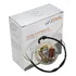 Estator Magneto Zouil Dt 180 Z 85/88 Dt 180z 88/96 2 Bobinas