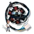 Estator Sundown Web 100 2005   2006 Mod Original