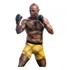 Estátua Anderson  Spider  Silva Signed Ver Deluxe - 1/10
