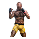 Estatua Anderson Spider Silva