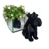 Estátua Cão Schnauzer Decorativa Linda-estatueta Pet