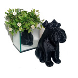 Estatua Cao Schnauzer Decorativa