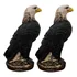 Estátua Gavião Falcão Repelente Espanta Pombos Maritacas