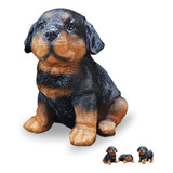 Estatua Pet Decoracao Cachorro
