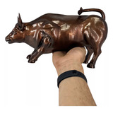 Estatua Touro Wall Street