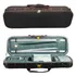Estojo Violino 4/4 Antoni Marsale Case Xy3011 Azul