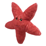 Estrela Do Mar Vermelha