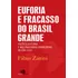 Euforia E Fracasso Do Brasil Grande: Política Externa E Multinacionais Brasileiras Na Era Lula, De Zanini, Fabio. Editorial Editora Pinsky Ltda, Tapa Mole En Português, 2017
