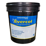 Evercol 18l Adesivo Para Argamassa E Gesso - Everomm Tintas
