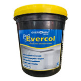 Evercol 1l Adesivo Para Argamassa E Gesso - Everomm Tintas