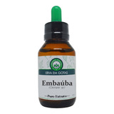 Extrato De Embauba 60ml