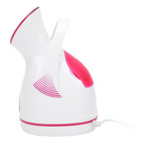 Facial Spa Steamer Face