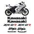 Faixa Emblema Adesivo Kawasaki Ninja 250r Zx 2r 25021 Zx2r