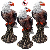 Familia Aguia Gaviao Afasta