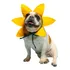 Fantasia De Carnaval Cachorros Gatos Pet Girassol Amarelo